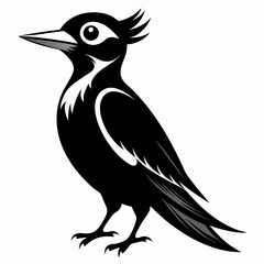 Woodpecker black silhouette