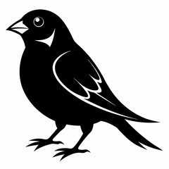 Sparrow black silhouette