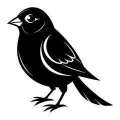 Sparrow black silhouette