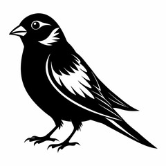Sparrow black silhouette