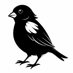Sparrow black silhouette
