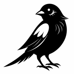 Sparrow black silhouette