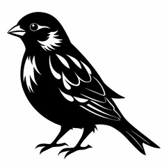 Sparrow black silhouette