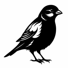 Fototapeta premium Sparrow black silhouette