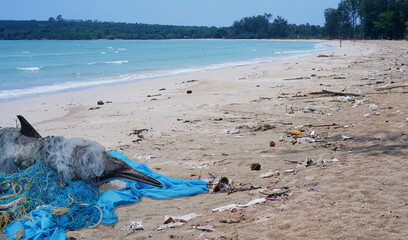 Bottlenose dolphin model entangled in a discarded fishing net on dirty sandy beach near ocean. © surasak