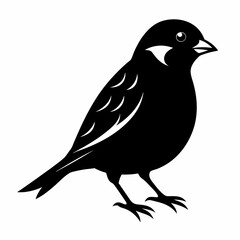 Sparrow black silhouette