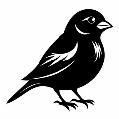 Sparrow black silhouette