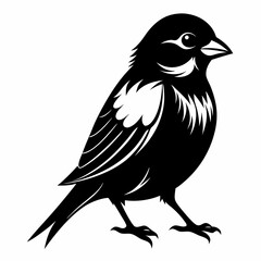 Sparrow black silhouette