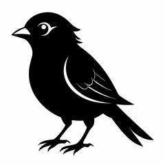 Sparrow black silhouette