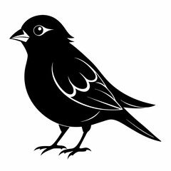 Sparrow black silhouette