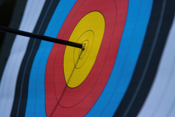 archery target with arrow in centre bullseye