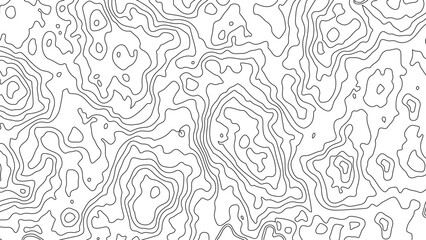 Vector topographic map background. Business concept. Abstract vector illustration