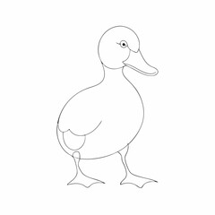 Duckling drawing by continuous line art, isolated white background (21)