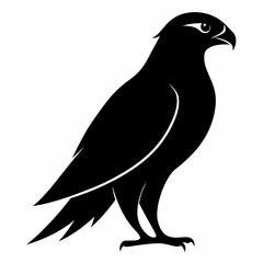 Falcon vector illustration, bird  isolated on white, Falcon silhouette, Falcon vector art
