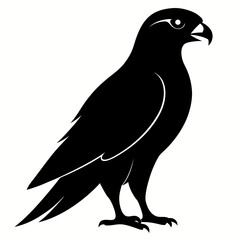 Falcon vector illustration, bird  isolated on white, Falcon silhouette, Falcon vector art
