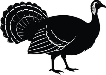 Turkey cock bird animal silhouette, wild turkey black silhouette vector art, thanksgiving turkey 
