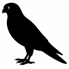 Kingfisher vector illustration, bird  isolated on white, Kingfisher silhouette, Kingfisher vector illustration, bird  isolated on white, Kingfisher silhouette, Kestrel vector art vector art