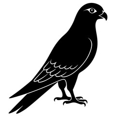 Kestrel vector illustration, bird  isolated on white, Kestrel silhouette, Kestrel vector art