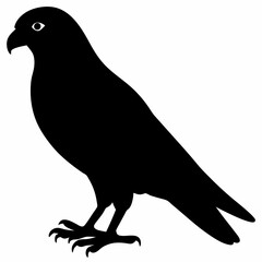 Kestrel vector illustration, bird  isolated on white, Kestrel silhouette, Kestrel vector art