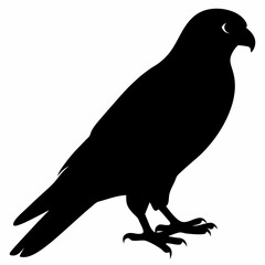 Kestrel vector illustration, bird  isolated on white, Kestrel silhouette, Kestrel vector art