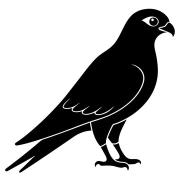 recommend clip art: Kestrel vector illustration, bird  isolated on white, Kestrel silhouette, Kestrel vector art