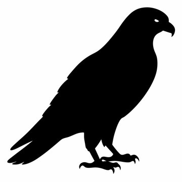 recommend clip art: Kestrel vector illustration, bird  isolated on white, Kestrel silhouette, Kestrel vector art