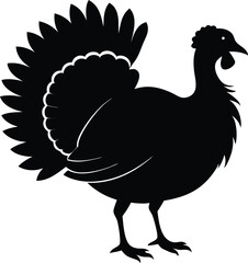 Turkey cock bird animal silhouette, wild turkey black silhouette vector art, thanksgiving turkey 
