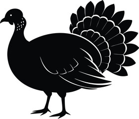 Turkey cock bird animal silhouette, wild turkey black silhouette vector art, thanksgiving turkey 
