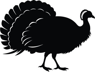 Turkey cock bird animal silhouette, wild turkey black silhouette vector art, thanksgiving turkey 
