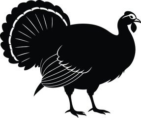 Turkey cock bird animal silhouette, wild turkey black silhouette vector art, thanksgiving turkey 
