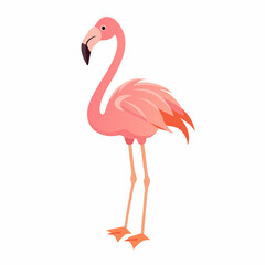 Pink flamingo on white background vector (2)