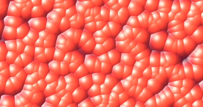 Animazione astratta di linee e cerchi con molti colori  diversi e movimenti
