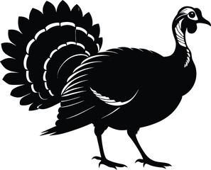 Turkey cock bird animal silhouette, wild turkey black silhouette vector art, thanksgiving turkey 
