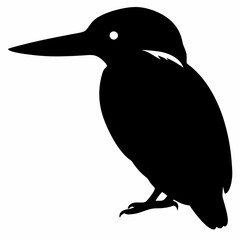 Kingfisher vector illustration, bird  isolated on white, Kingfisher silhouette, Kingfisher vector illustration, bird  isolated on white, Kingfisher silhouette, Kestrel vector art vector art