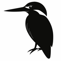 Kingfisher vector illustration, bird  isolated on white, Kingfisher silhouette, Kingfisher vector illustration, bird  isolated on white, Kingfisher silhouette, Kestrel vector art vector art