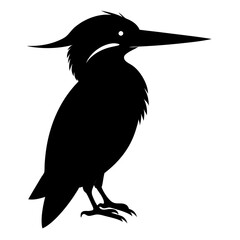 Fototapeta premium Kingfisher vector illustration, bird isolated on white, Kingfisher silhouette, Kingfisher vector illustration, bird isolated on white, Kingfisher silhouette, Kestrel vector art vector art