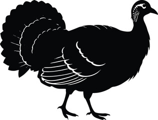 Turkey cock bird animal silhouette, wild turkey black silhouette vector art, thanksgiving turkey 
