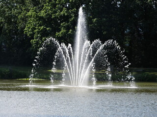 Naklejka premium fountain in the park