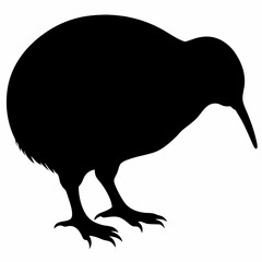 Kiwi vector illustration, bird  isolated on white, Kiwi silhouette, Kiwi vector art