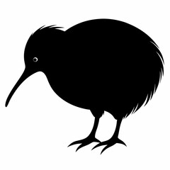 Kiwi vector illustration, bird  isolated on white, Kiwi silhouette, Kiwi vector art