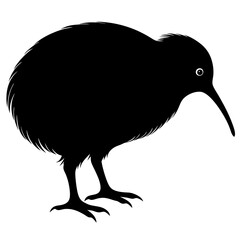 Kiwi vector illustration, bird  isolated on white, Kiwi silhouette, Kiwi vector art