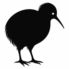 Kiwi vector illustration, bird  isolated on white, Kiwi silhouette, Kiwi vector art