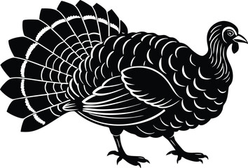 Turkey cock bird animal silhouette, wild turkey black silhouette vector art, thanksgiving turkey 
