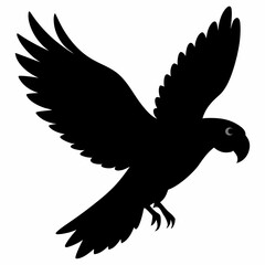 Parrot vector illustration, bird  isolated on white, Parrot silhouette, Parrot vector art