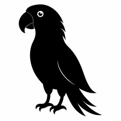 Parrot vector illustration, bird  isolated on white, Parrot silhouette, Parrot vector art