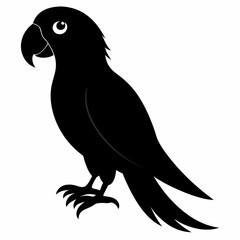 Parrot vector illustration, bird  isolated on white, Parrot silhouette, Parrot vector art