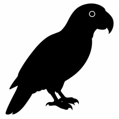 Parrot vector illustration, bird  isolated on white, Parrot silhouette, Parrot vector art
