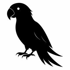 Parrot vector illustration, bird  isolated on white, Parrot silhouette, Parrot vector art