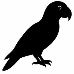 Parrot vector illustration, bird  isolated on white, Parrot silhouette, Parrot vector art