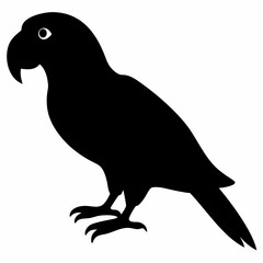 Fototapeta premium Parrot vector illustration, bird isolated on white, Parrot silhouette, Parrot vector art